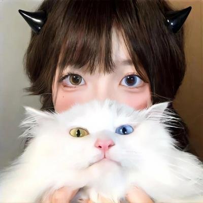向上猴子封面
