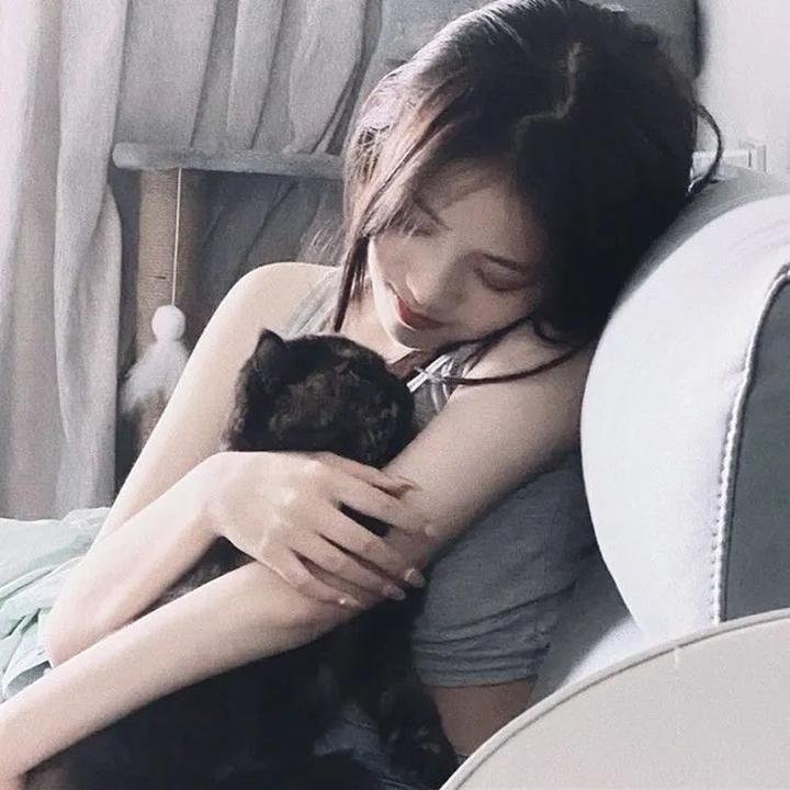 博尼法斯修女探案集第三季封面